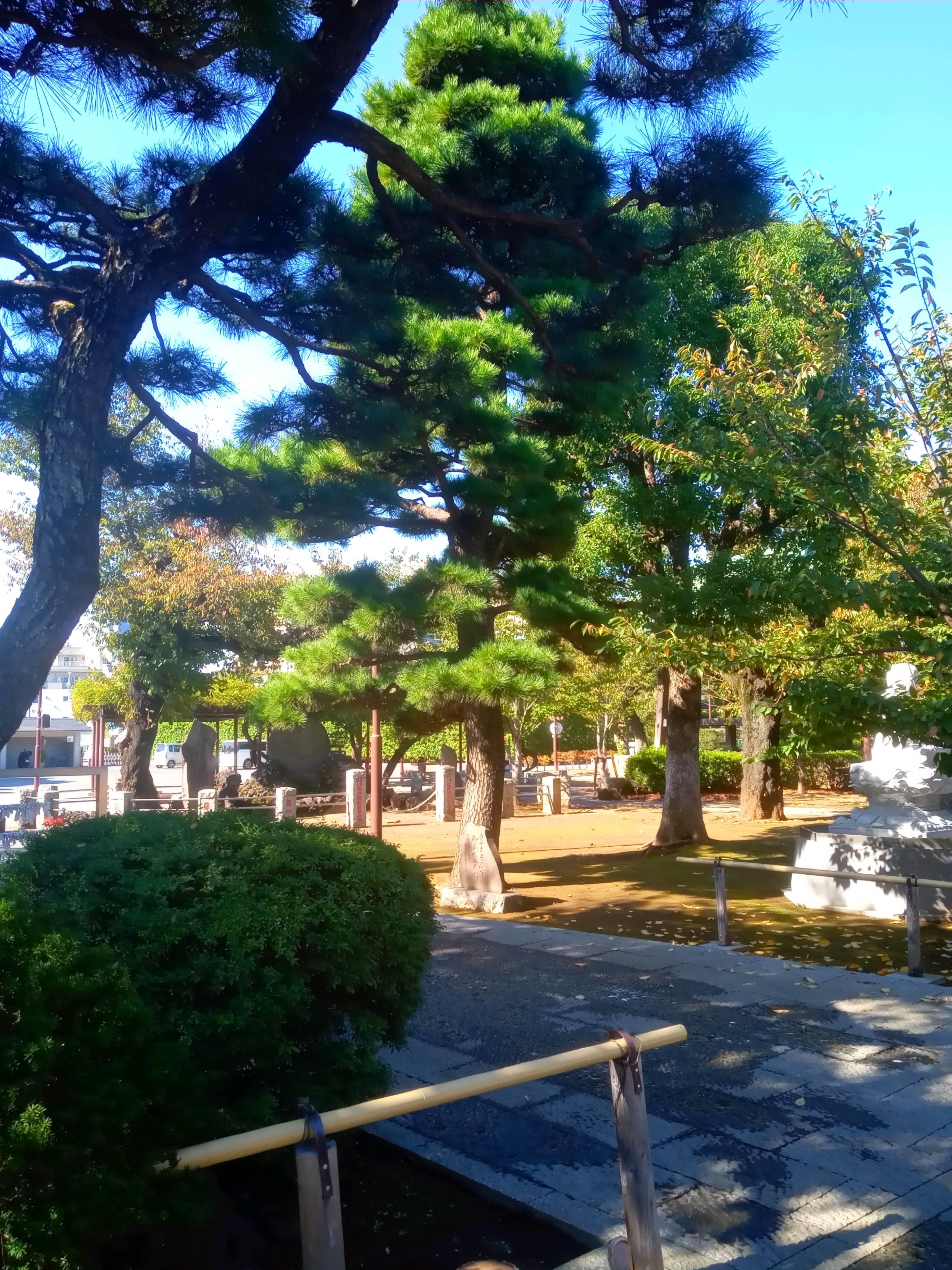 http://www.tokyustay-jp.pro/hotel/YU/topics/7ab75f4d3229bb8c517e1df6e5349016568d4a68.jpg