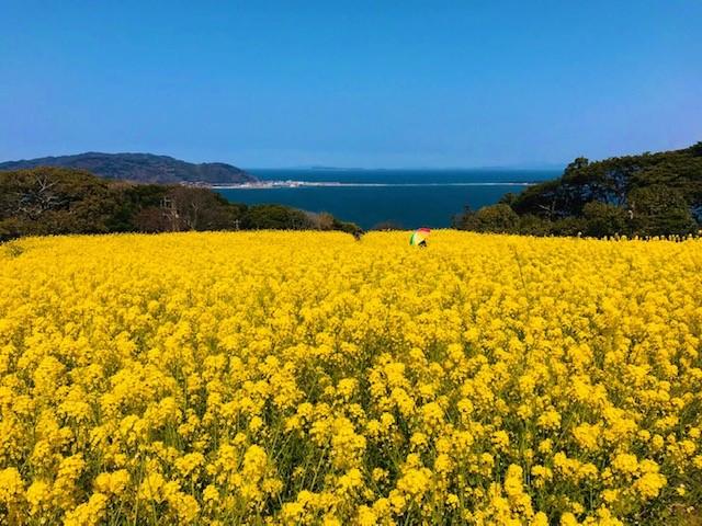 のこのしま①.jpg