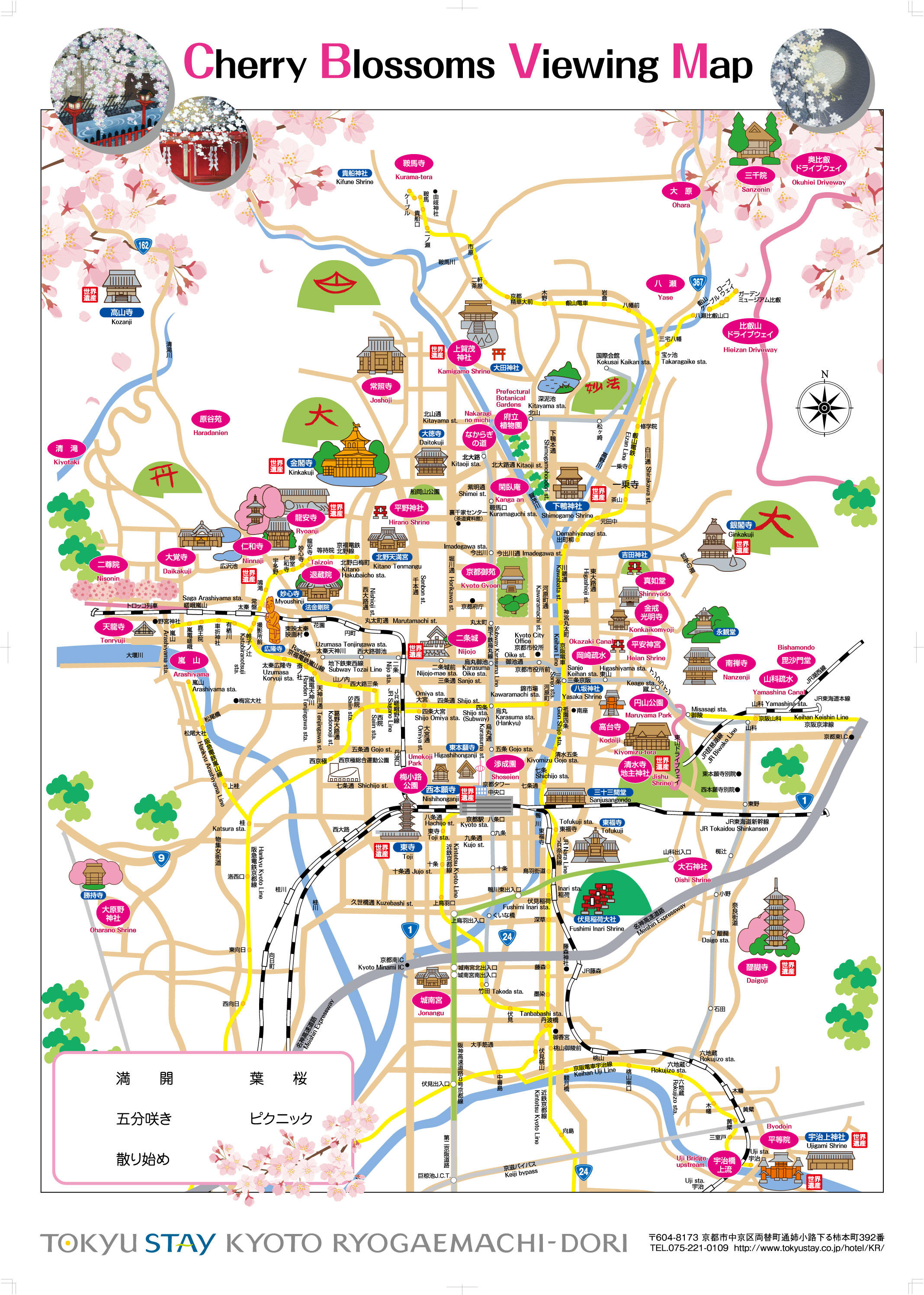 桜マップ.jpg