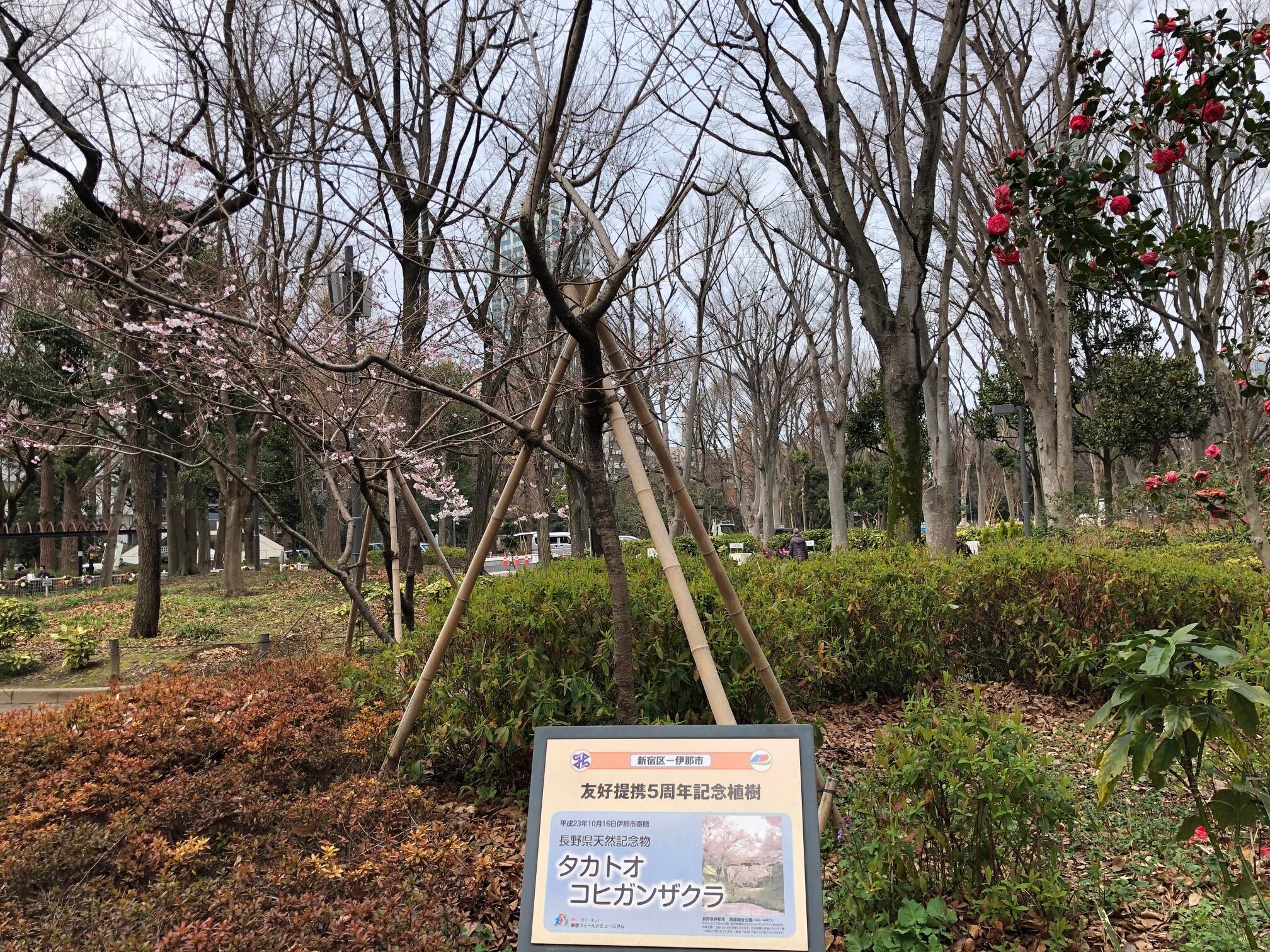 写真.jpg