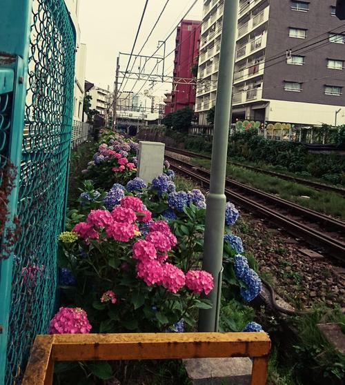 _20180602_131854.JPG